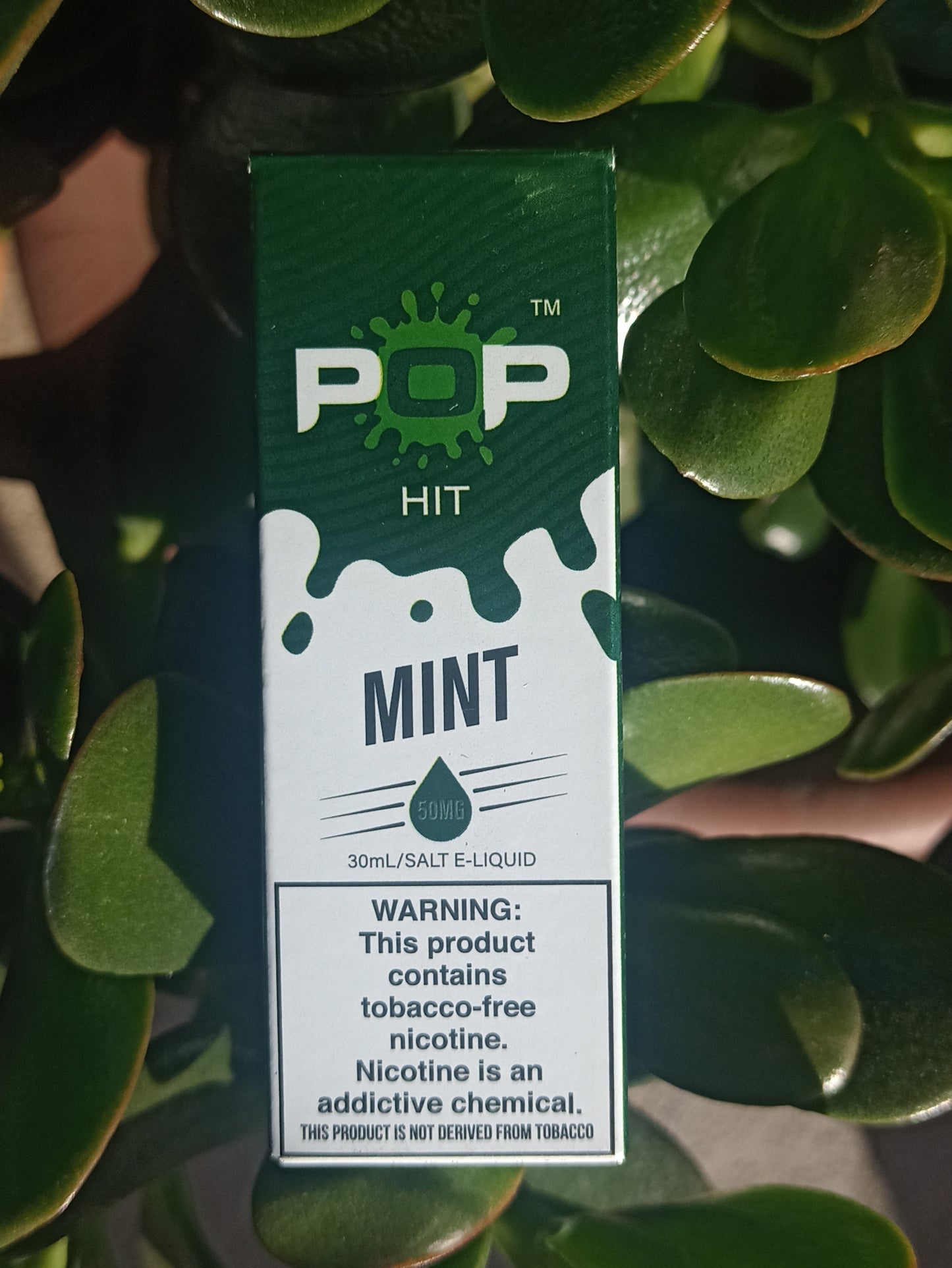 Mint