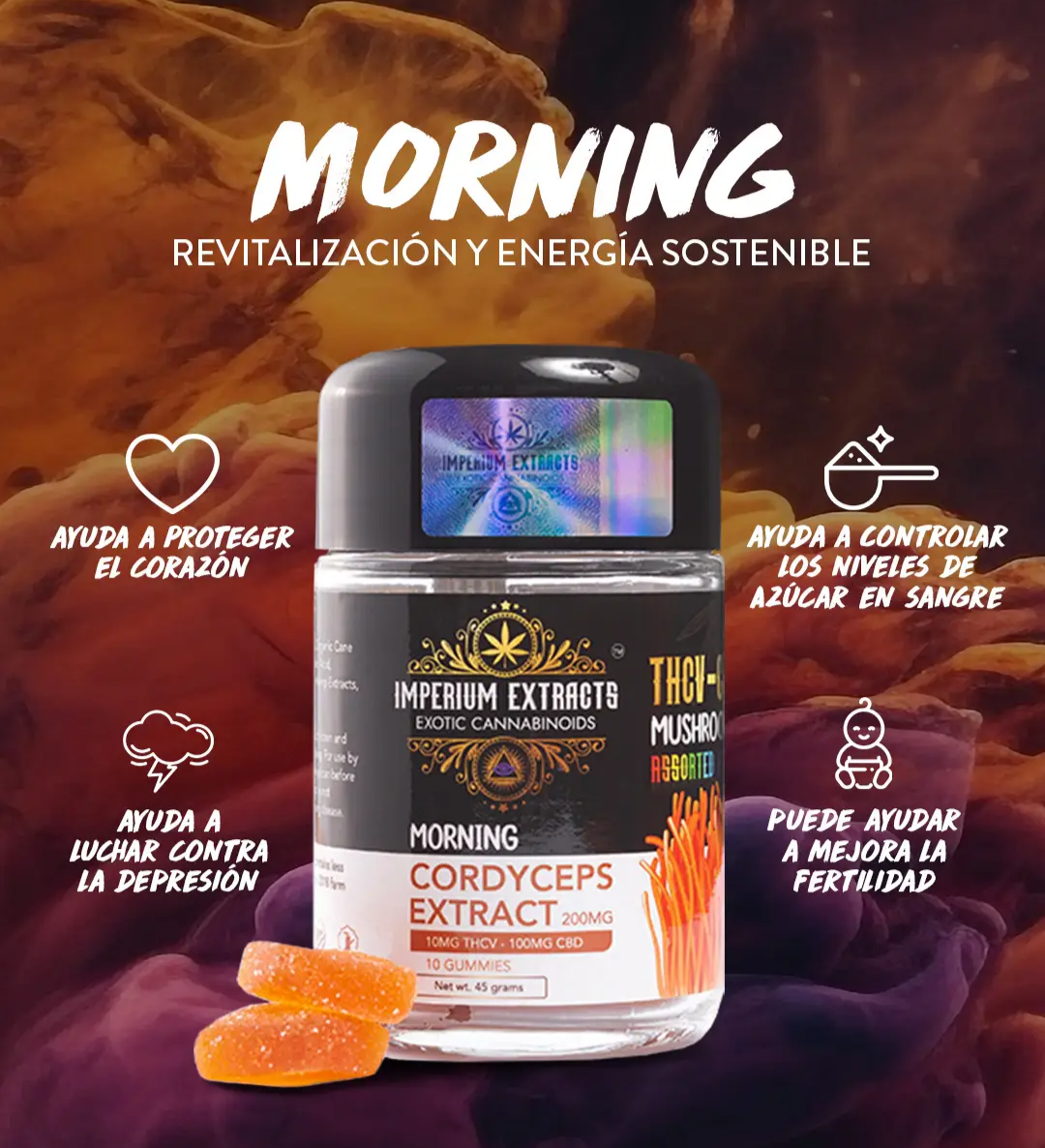 Morning - GOMITAS CORDYCEPS