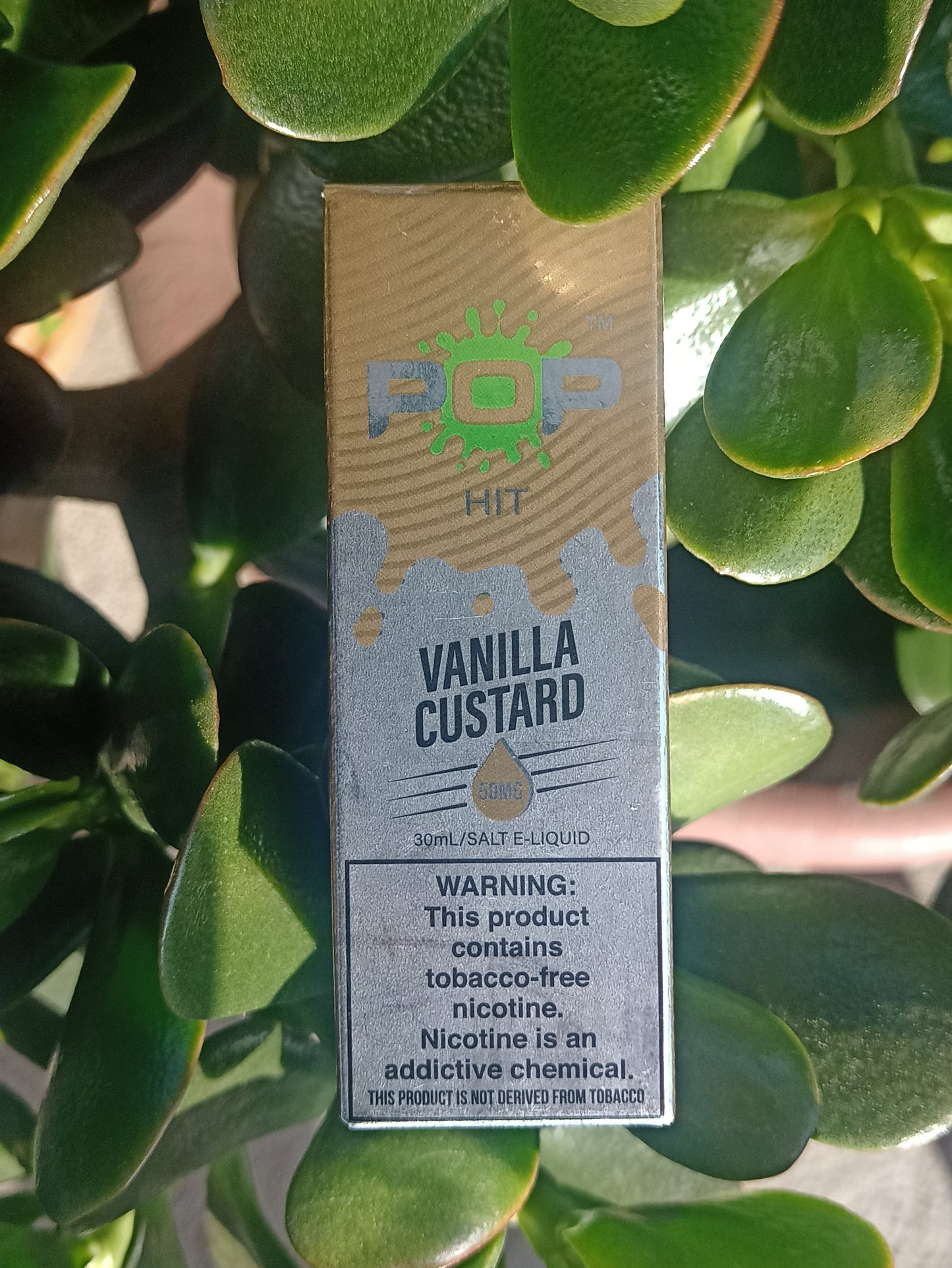 Vanilla Custard